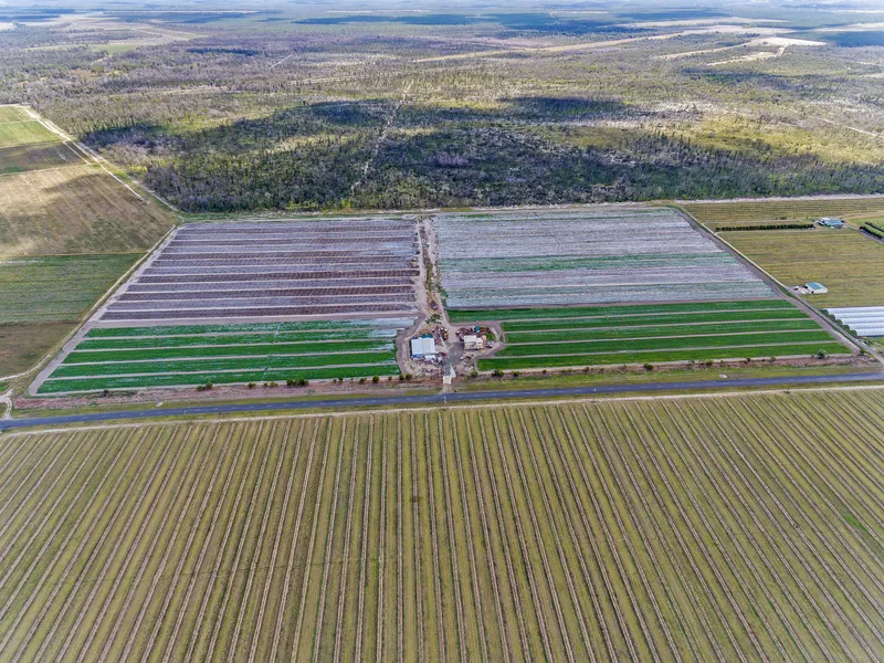 50 Acre farming Opportunity in the Food Hub of Queensland