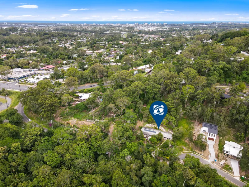 Renovated Home on Large Block with Leafy Backdrop