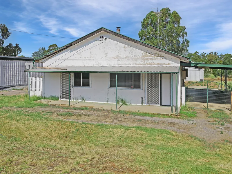 LET THE RENO'S BEGIN