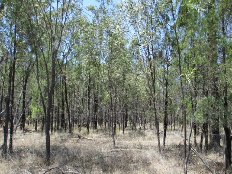 106.30 ACRES ONLY 8KMS EAST OF TARA
