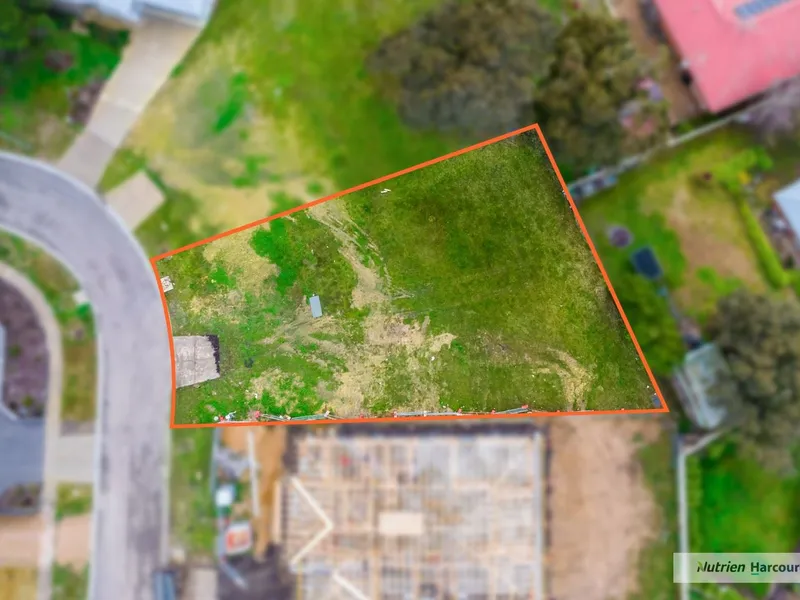 Make Your Dreams A Reality