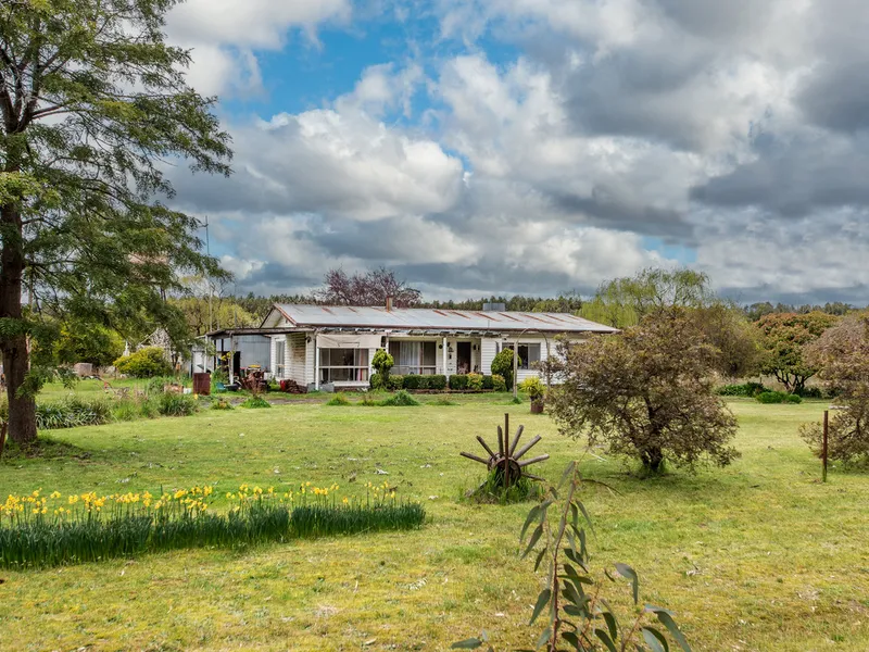 40 acres of red gum country