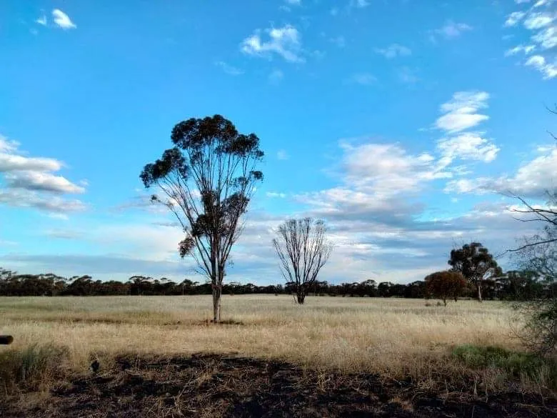 Acreage (12.50) with original old homestead (Hobby Farm Opportunity)