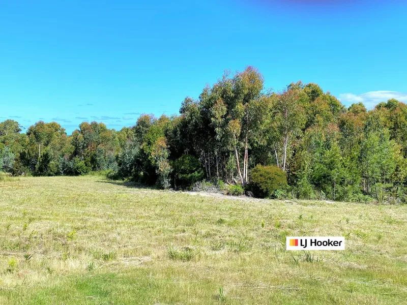 Development Potential