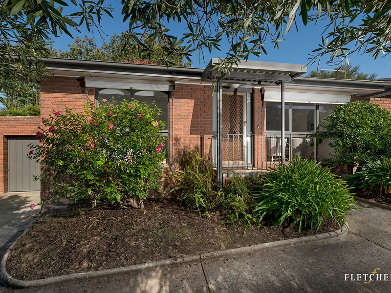 Sensational size and sunshine!