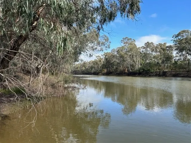 Murray river frontage