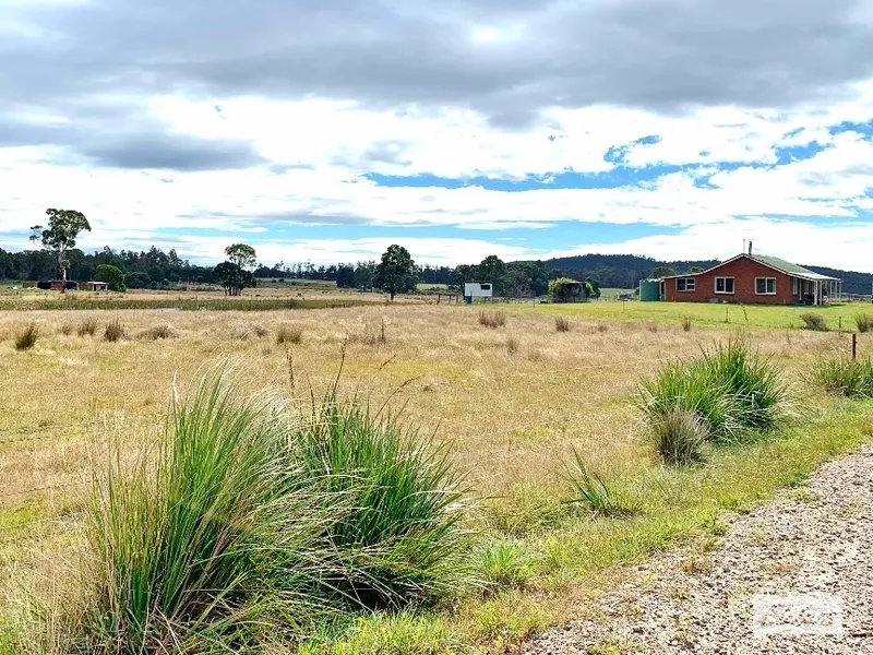 230 Acres in Beautiful Parkham. 3br Brick House, Dam and Creek.