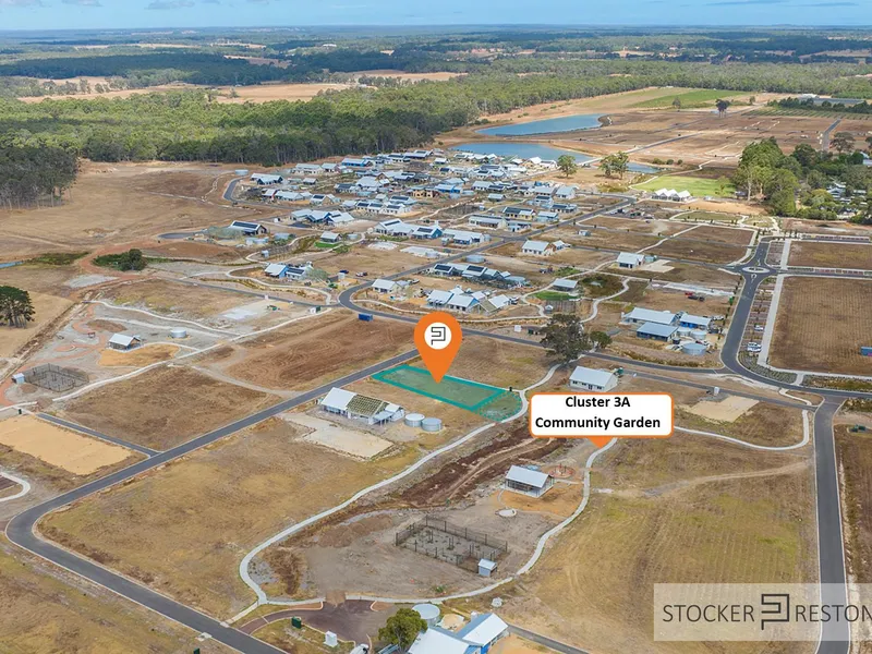 CHANCE OF A LIFETIME