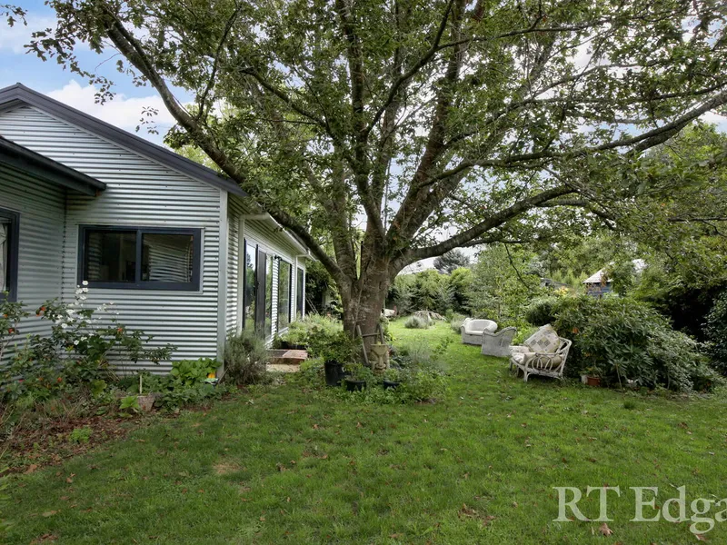 Delightful Home & Studios in peaceful garden setting