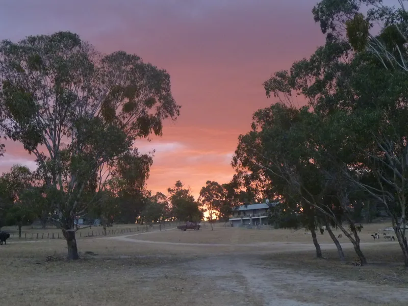The Ultimate Remote Work Environment - Relax, unwind & embrace the stunning serenity!