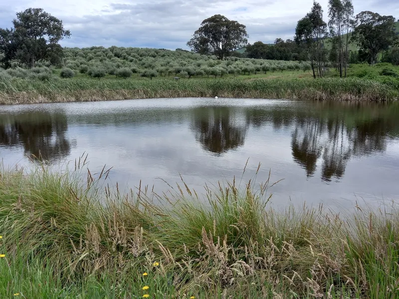 PRODUCTIVE ORGANIC FARM ready for your ECO HOME, an excellent example now identified as ecoproperty®