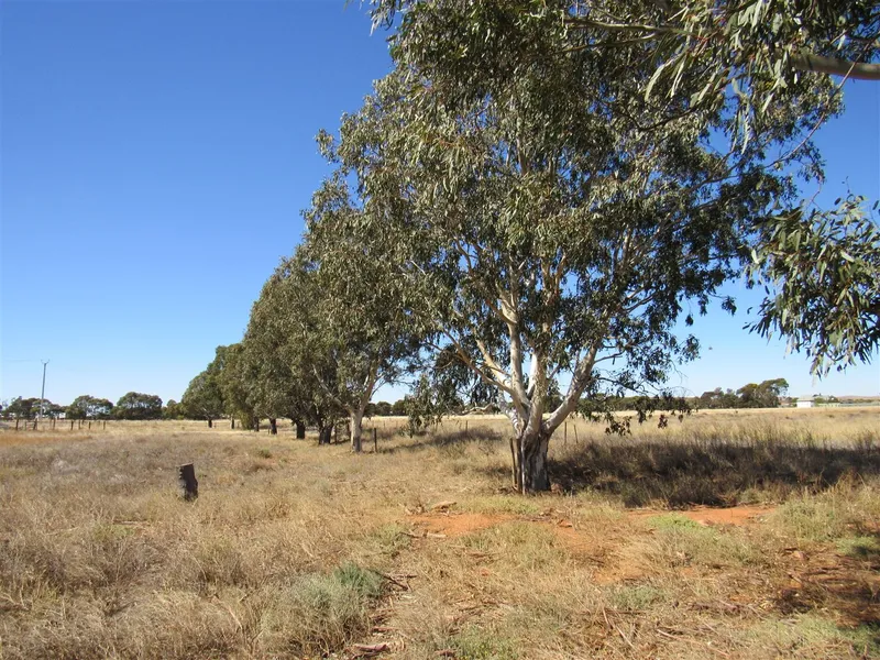 6.67Ha Cropping and Grazing 16.6 Acres