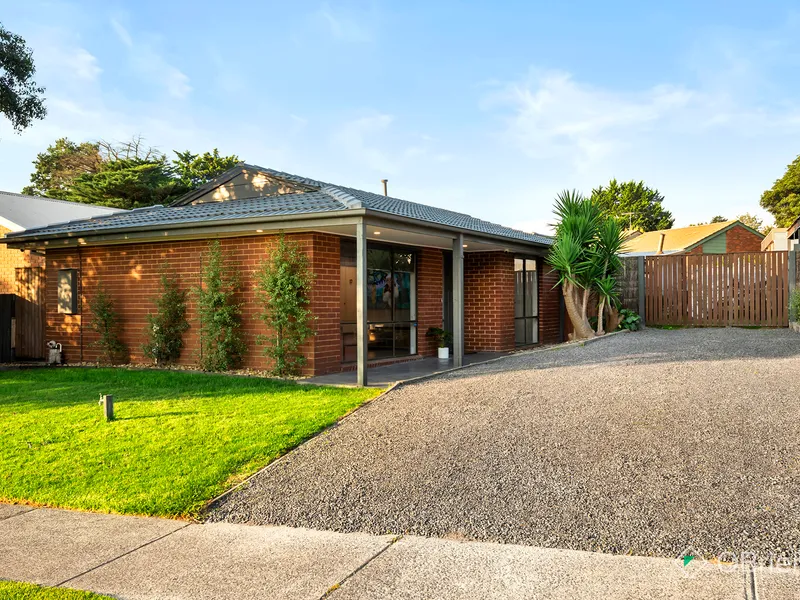 Entertainer's Dream Located in Woodland's Primary Zone