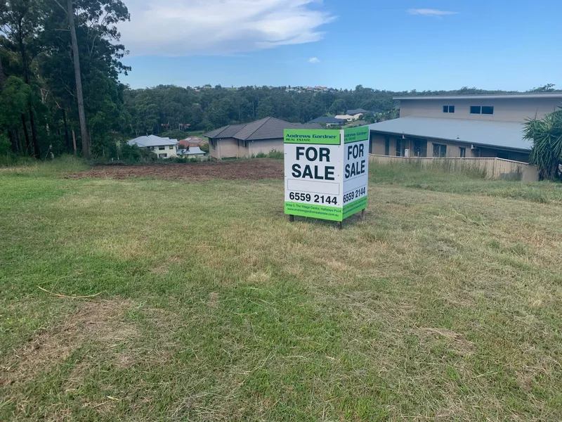 A Rare Find In Tallwoods