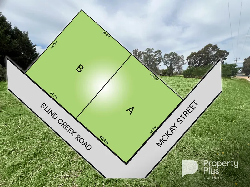 One acre, Two Titles, Corner Allotment