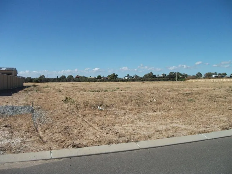 The Beauty of Bertran Vista!