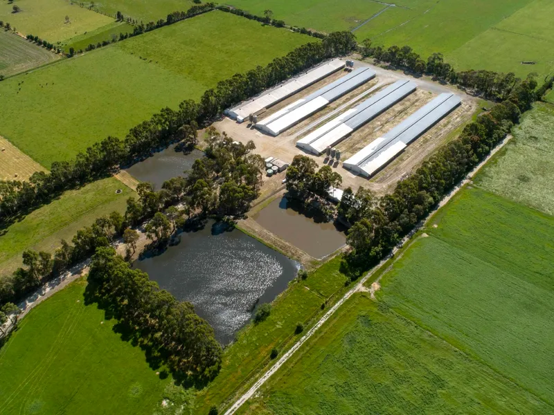 DMD Farm – Offering the ideal combination of business and lifestyle