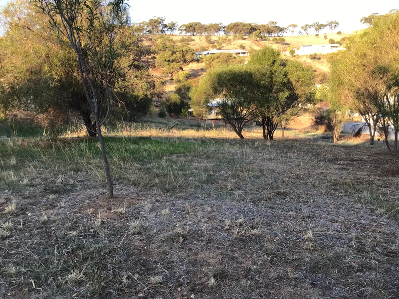 SETTLERS RIDGE - ESTABLISHED ESTATE CLOSE TO TOWN