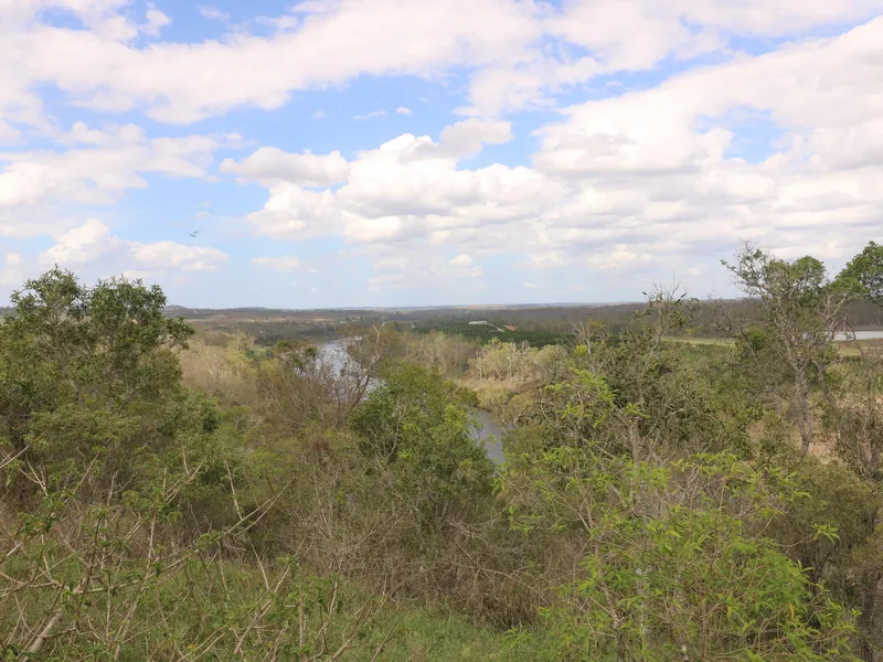 215 ACRES HIGH SCRUB SOILS WITH SHACK