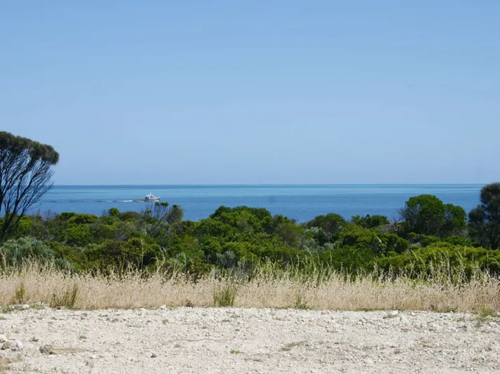 Ocean and Marina Views