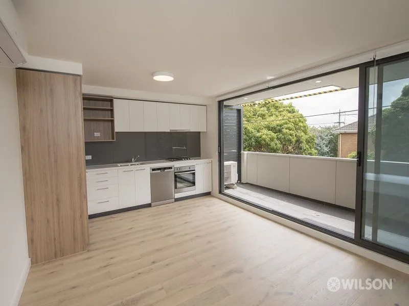 Beautiful modern apartment in the heart of Ormond