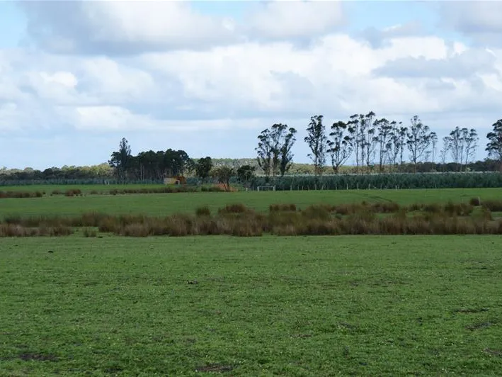 Premium Farmland Property