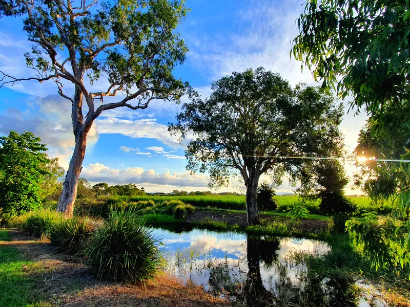 PRIME LOCATION - NO BACK NEIGHBOURS!