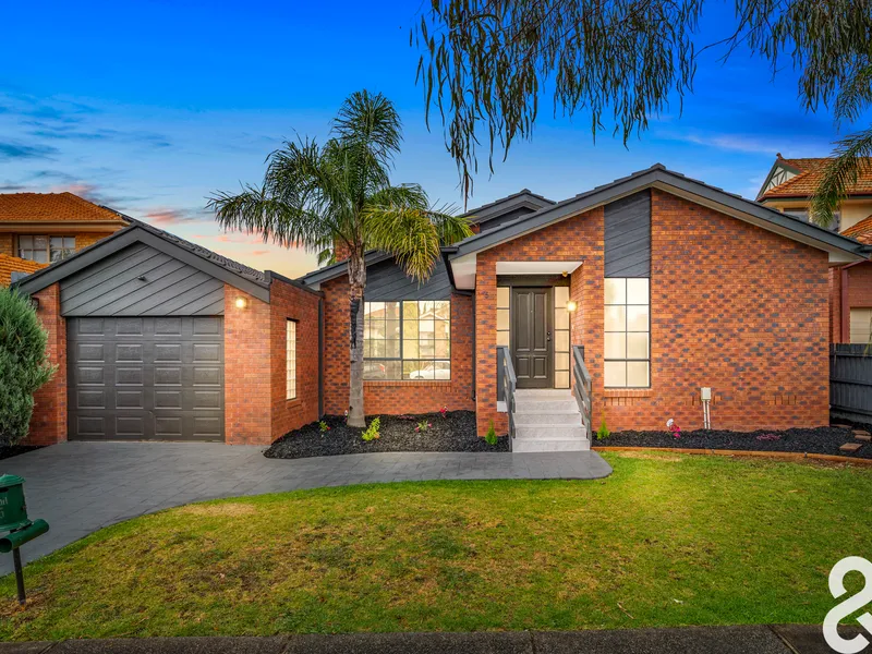 SOMETHING REALLY SPECIAL