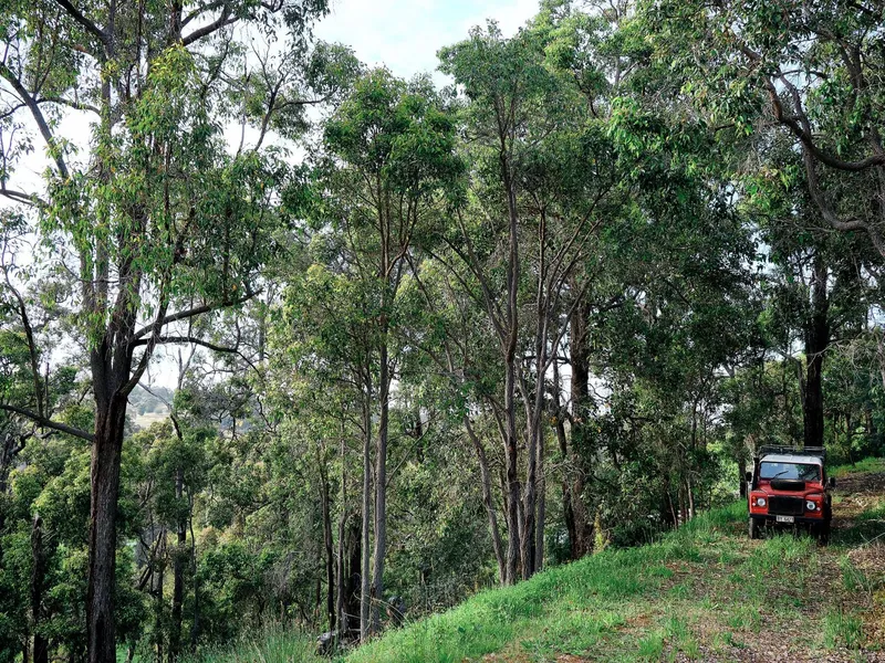 2.5 acres - close to town - amazing views!