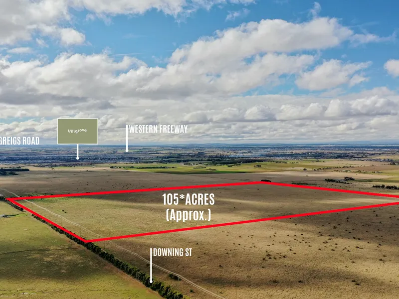 BROAD HECTARE LAND FOR SALE