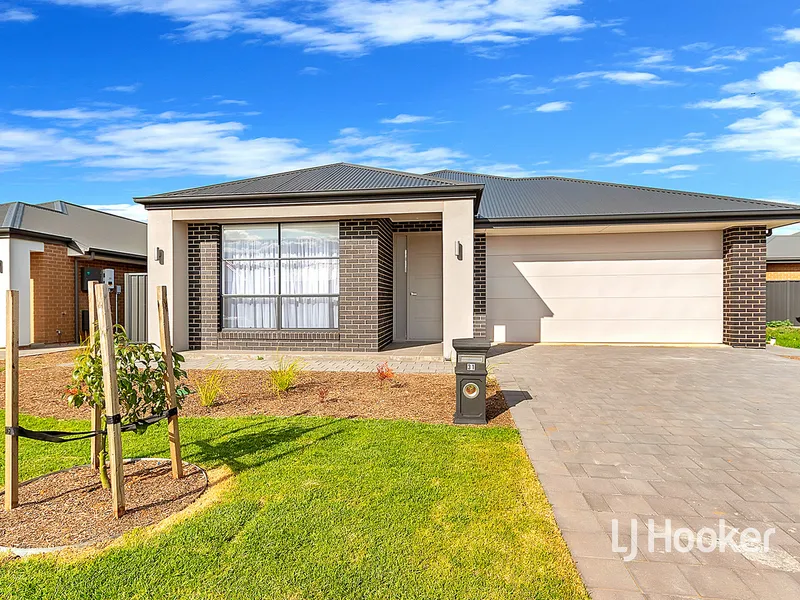 Brand new spacious home!