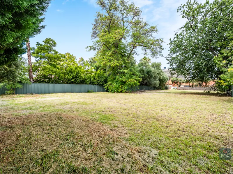 Arguably one of Adelaide's best addresses - a dream allotment 1,400 sqm (approx.)