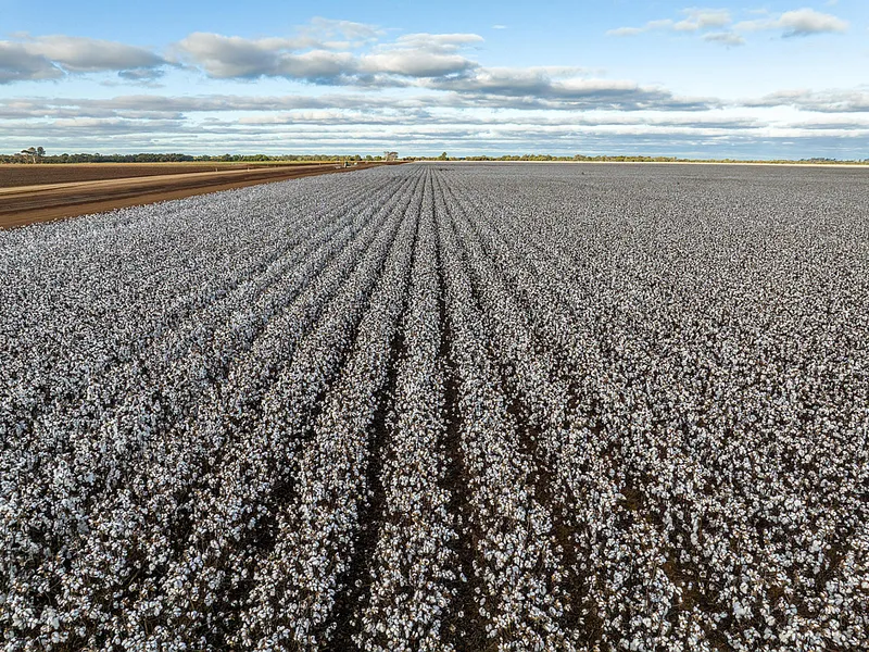 'HK Farming' Gunbar NSW 2,456HA / 6,069AC - A Highly Developed Irrigation And Cropping Enterprise
