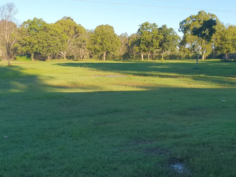 40 Level ACRES...Heart of Mango Hill...Work from HOME!