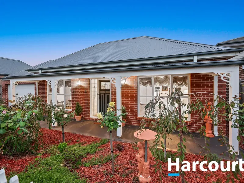 Brighton Meets Mayfield