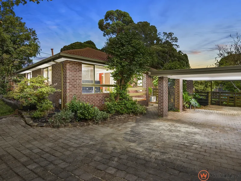 The Search Ends Here!