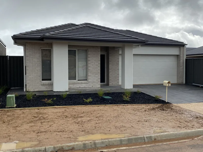 4 Bedroom - Beautiful NEW Build!