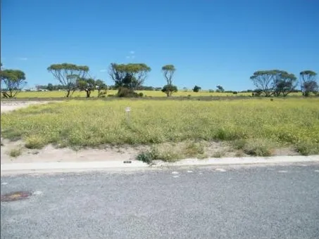 PRICE REDUCTION - NOWS THE TIME.....