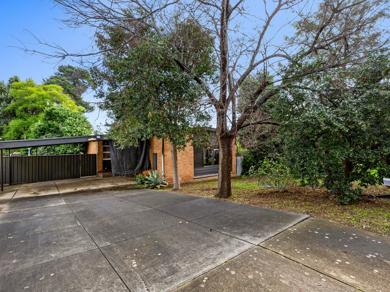 The Astute Buyers Will Recognise the Various Opportunities in which 9 Stirling Street Prevails!