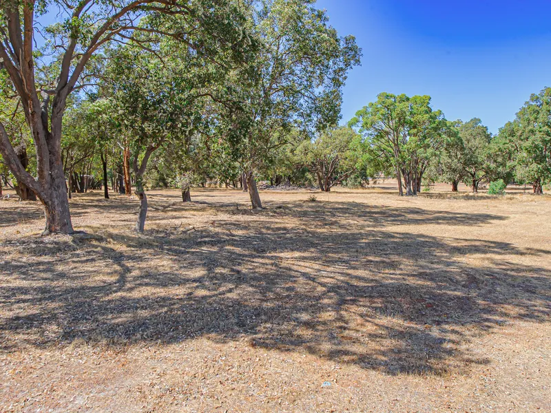 TIME FOR A TREE CHANGE