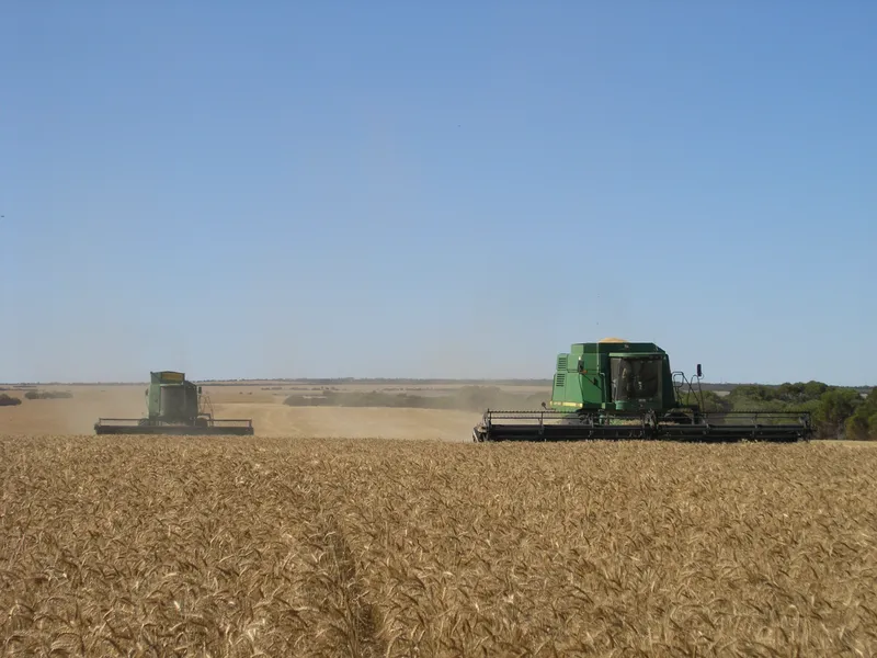 Excellent Value - East Hyden