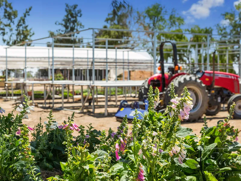 80 Ac / 32.4 Ha - Unique Commercial Nursery Enterprise or Irrigation Farm