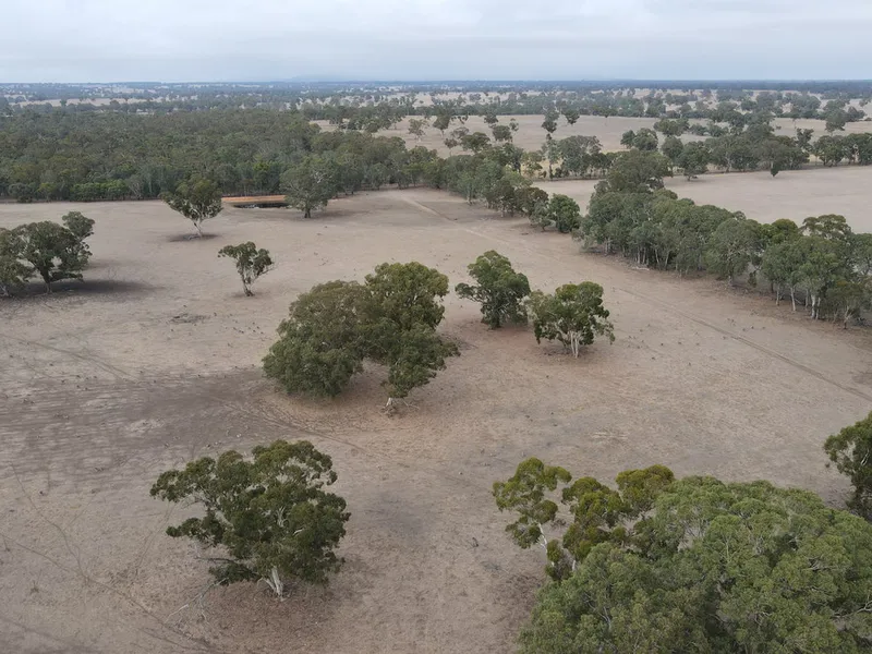 BUSH BLOCK WITH INCOME POTENTIAL 513 Ac - 207 .6 Ha approx.