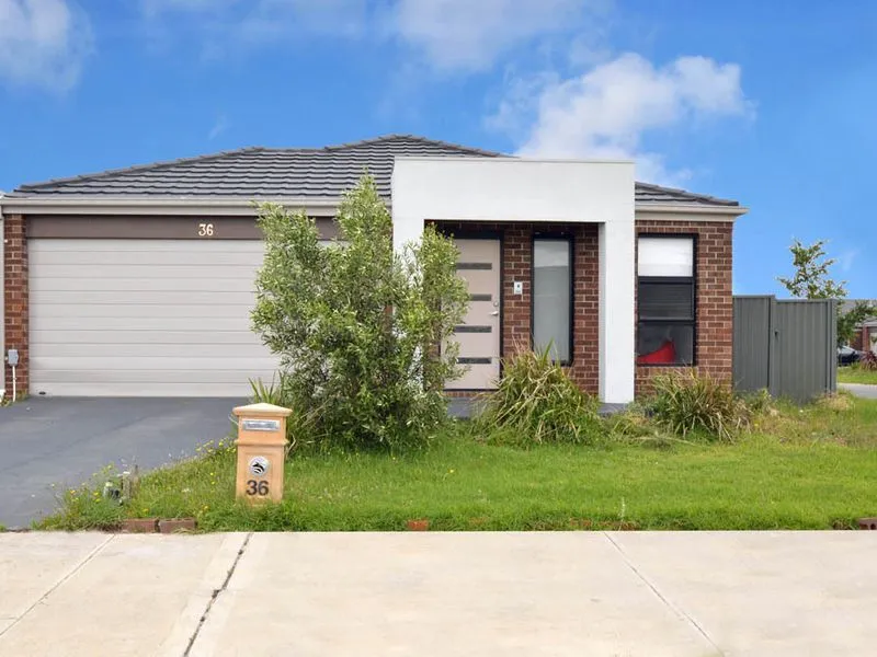 Immaculately Presented