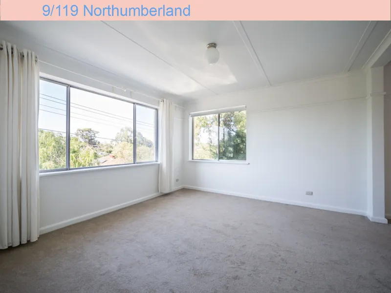 Light, bright and ready to love