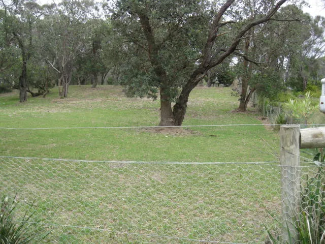 Beautiful Big Beach Land! You Will Feel Like You Have Entered A park!