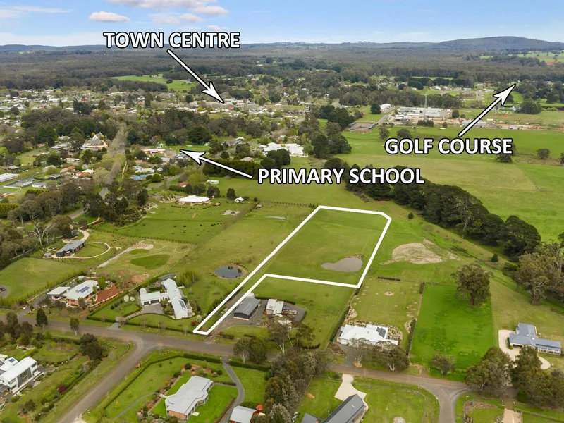 Design the dream and then live it