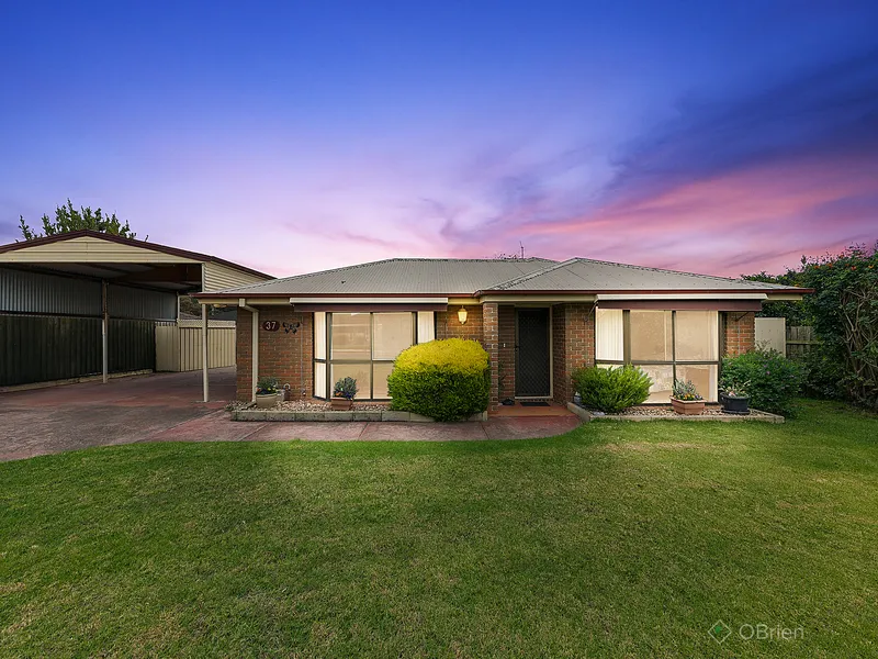 Large block, huge shed, family home