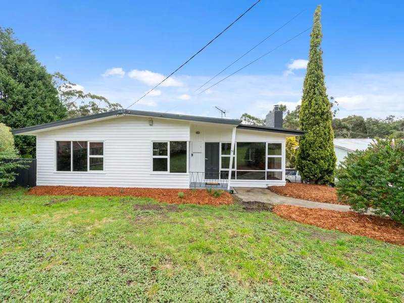 Welcome to 51 Spring Street