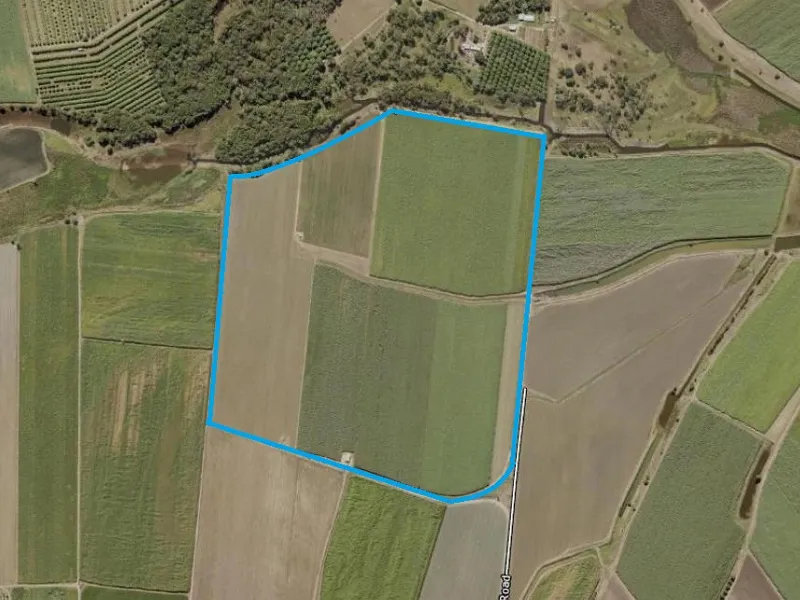 Cane Farm | Alternate Cropping